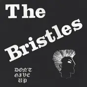 The Bristles - Don't Give Up