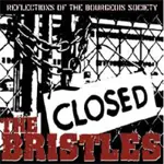 The Bristles - Reflections of the..