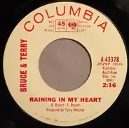 Bruce & Terry - Raining In My Heart / Four Strong Winds
