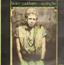 LP - Bruce Cockburn - Stealing Fire