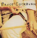 CD - Bruce Cockburn - Dart To The Heart