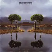 Bruce Dickinson - Skunkworks