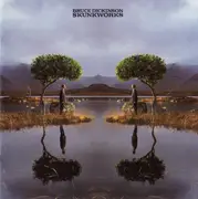 CD - Bruce Dickinson - Skunkworks
