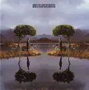 CD - Bruce Dickinson - Skunkworks