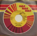 7inch Vinyl Single - Bruce Hornsby And The Range - Every Little Kiss