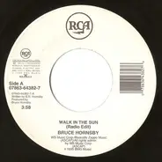 Bruce Hornsby - Walk In The Sun