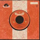 7inch Vinyl Single - Bruce Low - Das Alte Haus Von Rocky-Docky