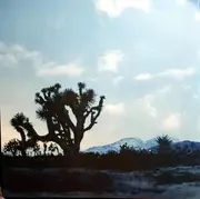 Double LP - Bruce Springsteen - Western Stars - Blue Vinyl