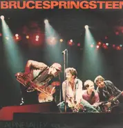 Bruce Springsteen - Alpine Valley "Vol.2"
