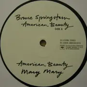 12inch Vinyl Single - Bruce Springsteen - American Beauty