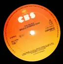 Double LP - Bruce Springsteen - The River