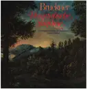 LP - Bruckner - Romantische Sinfonie Nr.4 Es-dur (Haitink)