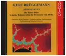 CD - Brüggemann - Die Ferne Flöte / In meine Träume rufen die Trommeln von Afrika