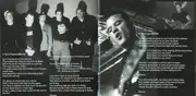 CD - The Bruisers - Up In Flames
