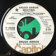 Brush Arbor - Brush Arbor Meeting / Bear Creek Dam