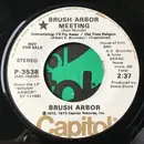 7inch Vinyl Single - Brush Arbor - Brush Arbor Meeting / Bear Creek Dam