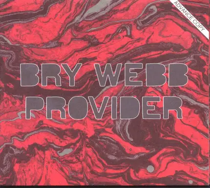 Bry Webb - Provider