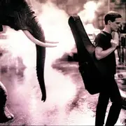 CD - Bryan Adams - On A Day Like Today