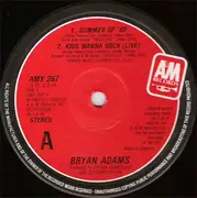 12inch Vinyl Single - Bryan Adams - Summer Of '69 / The Bryan Adamix
