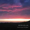 Double LP - Bryan Beller - Scenes From The Flood