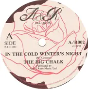 Bryan Chalker - In The Cold Winter's Night