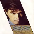 12'' - Bryan Ferry - ... Is Your Love Strong Enough?