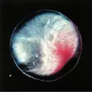 12inch Vinyl Single - Bryce Hackford - New Needs For Safety