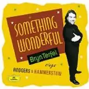 Bryn Terfel - Something Wonderful - Bryn Terfel Sings Rodgers & Hammerstein