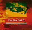 12inch Vinyl Single - Bwx - Can You Feel It