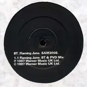 B.T - Flaming June  *RECORD 2 ONLY*