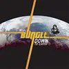 CD - Bungle - Down To Earth