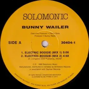 Bunny Wailer - Electric Boogie