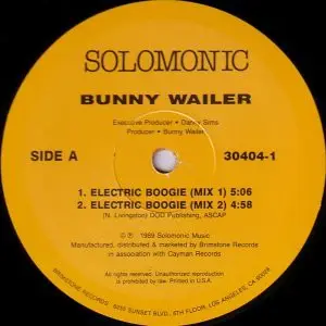 Bunny Wailer - Electric Boogie
