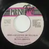 7inch Vinyl Single - Bunny Brown - How Could You Be So Cold