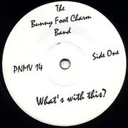 7inch Vinyl Single - Bunny Foot Charm - What's With This?