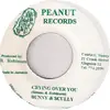 7inch Vinyl Single - Bunny & Skully - I Love You / Crying Over You