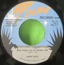 7inch Vinyl Single - Bunny Sigler - What Would You Do Without Love / Juvenile