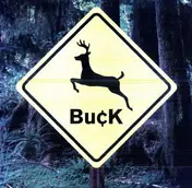 Buck - Buck