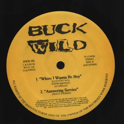 Buck Wild Records - It Ain't Easy / Old School / Best Friend / Where I Wanna Be Boy / Answering Service