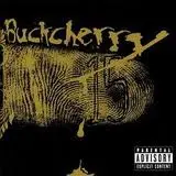 CD - Buckcherry - 15