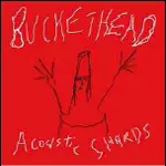 Buckethead - Acoustic Shards