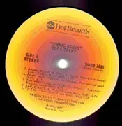 LP - Buck Trent - Bionic Banjo