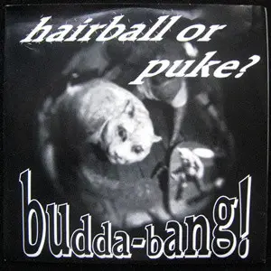 Budda-Bang! - Hairball Or Puke? / Beat Plastic