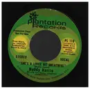 7inch Vinyl Single - Buddy Harris - She's A Little Bit Unfaithful - Promo