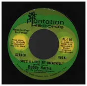 Buddy Harris - She's A Little Bit Unfaithful