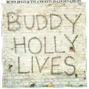 LP - Buddy Holly & The Crickets - 20 Golden Greats