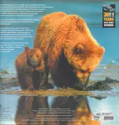 CD-Box - Buddy Miller, Emmylou Harris, Count Smokula - 30!!! Years Bear Family Records - + HUGE COLOUR BOOK