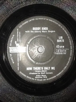 Buddy Knox With The The Johnny Mann Singers - She's Gone / Now There's Only Me