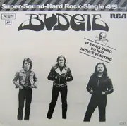 EP - Budgie - If Swallowed, Do Not Induce Vomiting