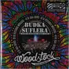Double LP - Budka Suflera - Przystanek Woodstock 2014 - CIEN WIELKIEJ GORY LIVE